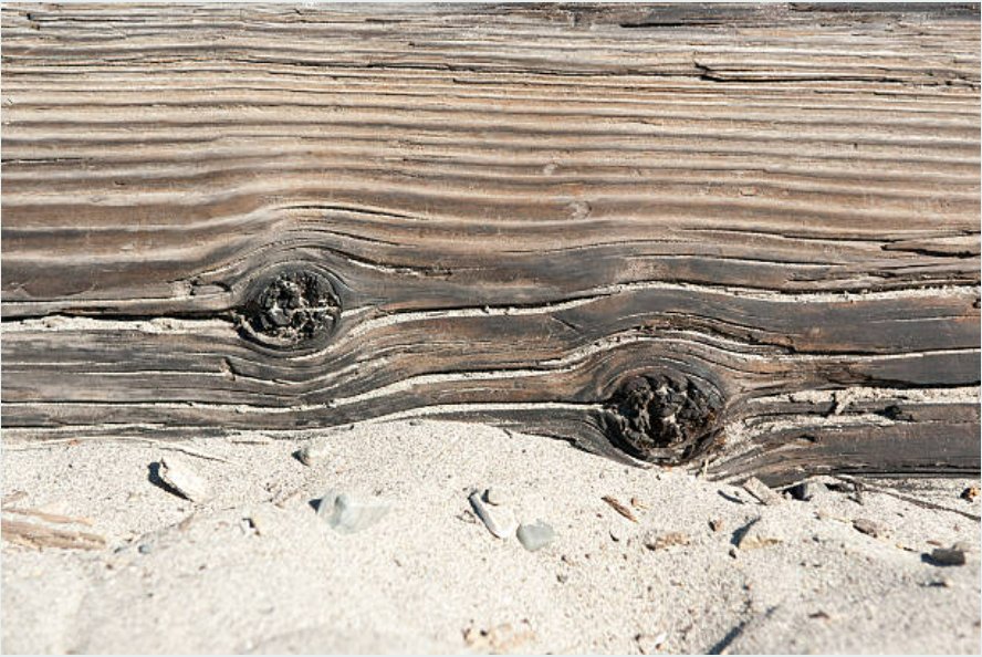 Cedar planter box in a coastal garden setting